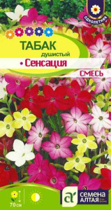 Табак Сенсация душистый купить