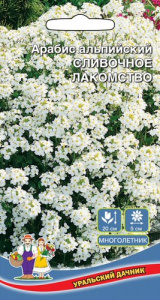 Арабис Сливочное Лакомство альпийский  купить