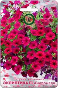 Петуния Эклиптика F1 Андромеда каскадная купить