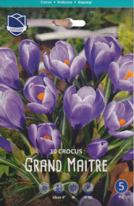Крокус vernus "Grand Maitrer" (1х10шт) купить