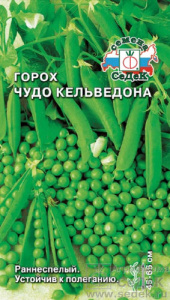 Горох Чудо Кельведона  купить
