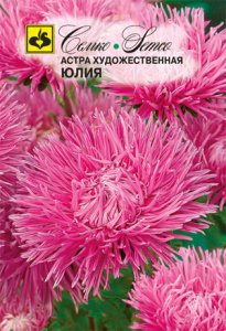 Астра художественная Юлия  купить
