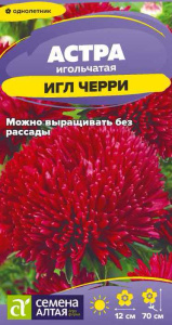 Астра игл Черри купить