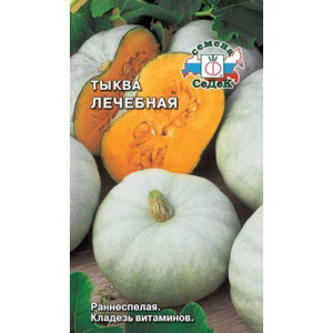 Тыква Лечебная  купить