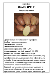 Картофель Фаворит А5 фото купить