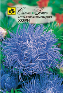 Астра хризантемовидная Хорн  купить