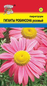 Пиретрум Гиганты Робинсона розовый купить