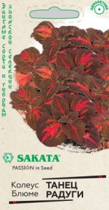 Колеус Танец радуги  Саката Эксклюзив  купить