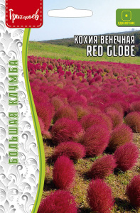Кохия Red Globe венечная купить