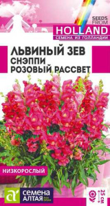 Львиный зев Снэппи Розовый рассвет  купить