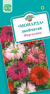 Монарда двойчатая Жар-птица (многолетняя)   купить