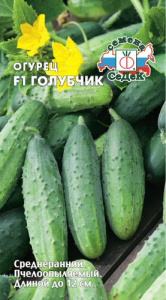 Огурец Голубчик F1  купить