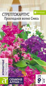 Стрептокарпус прохладная волна смесь  купить