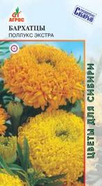 Бархатцы Поллукс Экстра 10шт купить