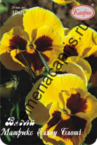 Виола Матрикс Елоу Блотч (Чили)/1шт купить