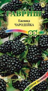 Ежевика Чародейка  купить