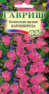 Колокольчик Карминроза средний  купить