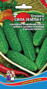 Огурец Сила Земли F1  купить