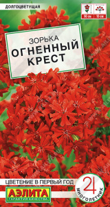 Зорька Огненный крест Цветение в первый год купить