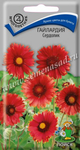 Гайлардия Сердолик купить