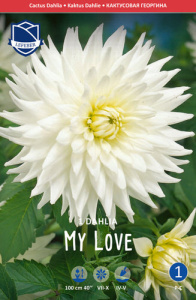 Георгина кактусовая My Love /1шт купить