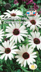 Диморфотека Снегурочка  купить