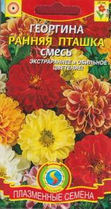 Георгина Ранняя пташка смесь  купить