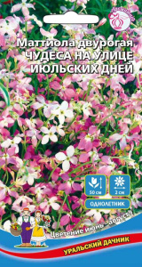Маттиола двурогая Чудеса на улице июльских дне купить