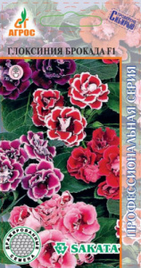 Глоксиния Брокада смесь  купить