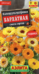 Календула Бархатная махровая, смесь купить