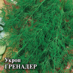 Укроп Гренадер 25г купить