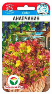 Салат Анапчанин  купить