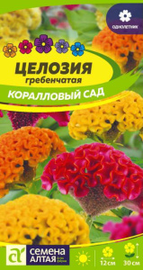 Целозия Коралловый Сад гребенчатая  									 купить