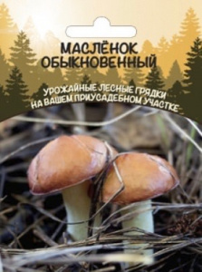 Масленок Обыкновенный (ССПК) 15мл купить