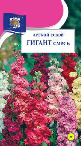 Левкой Гигант седой смесь  купить