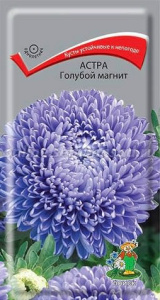 Астра Голубой магнит купить