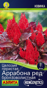 Целозия перистая Аррабона ред бронзоволистная купить