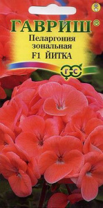 Пеларгония зональная Йитка  купить