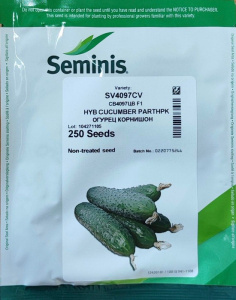 Огурец СВ 4097 F1 250 шт купить