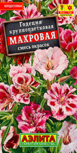 Годеция Махровая, смесь  купить