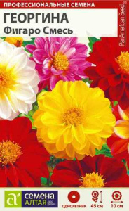 Георгина Фигаро Смесь купить