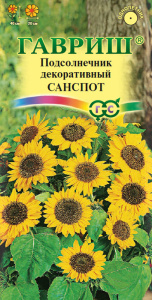 Подсолнечник Санспот карликовый  купить