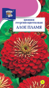 Цинния Алое Пламя купить