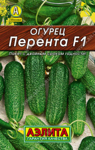Огурец Перента F1 купить