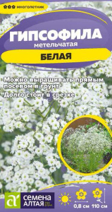 Гипсофила Белая метельчатая купить