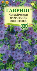 Флокс Очарование фиолетовое, друммонда  купить