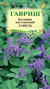 Котовник кистевидный Лавиль купить
