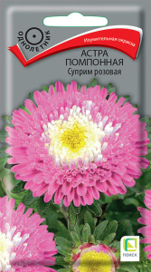 Астра Суприм Розовая помпонная купить