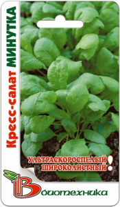 Кресс-салат Минутка  купить