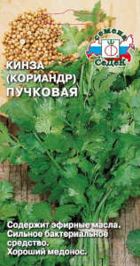 Кориандр Пучковый  купить